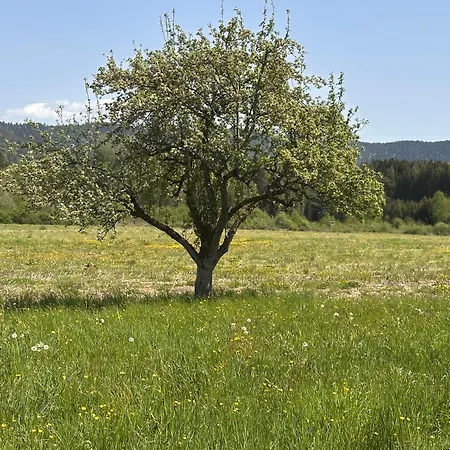 Le Milpa Lxxxviii Casa de Férias *