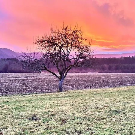 Le Milpa Lxxxviii Casa de Férias *