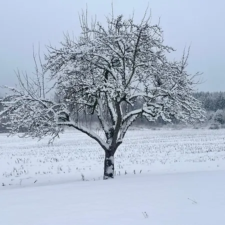 Casa de Férias Le Milpa Lxxxviii *