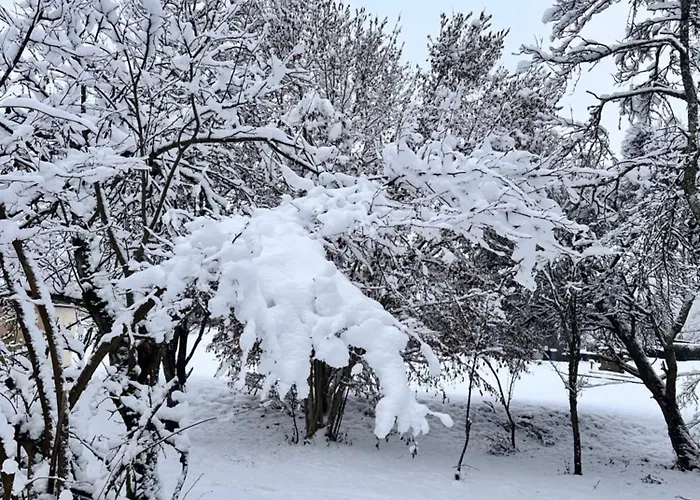 Le Milpa Lxxxviii Casa de Férias