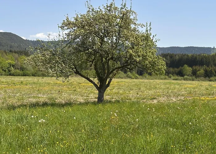 Le Milpa Lxxxviii Casa de Férias *