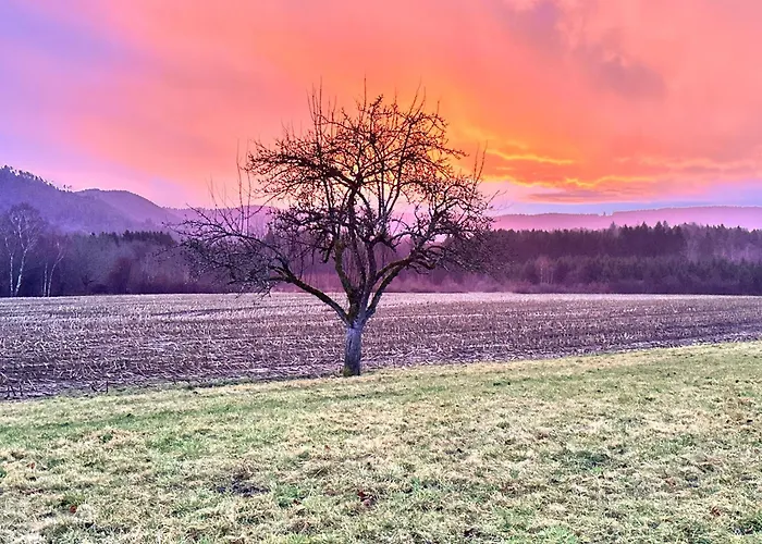 Le Milpa Lxxxviii Casa de Férias *