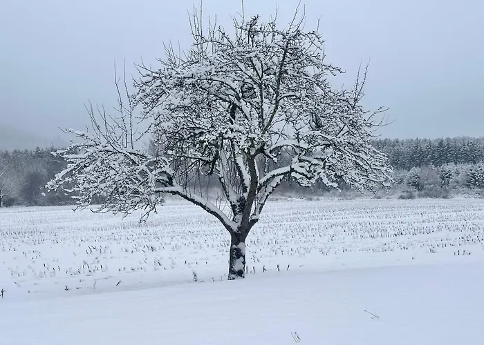 Casa de Férias Le Milpa Lxxxviii *